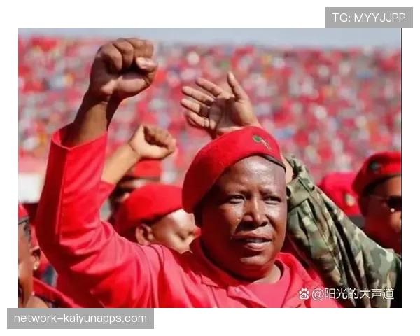 团结与抗争：格里马尔多眼中这是对抗不公后应有的胜利